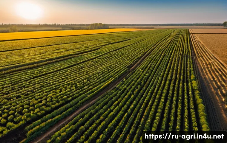 농업 스마트 팜 실습 - **Prompt:** A wide-angle shot capturing a modern Russian agricultural landscape at sunrise. In the f...