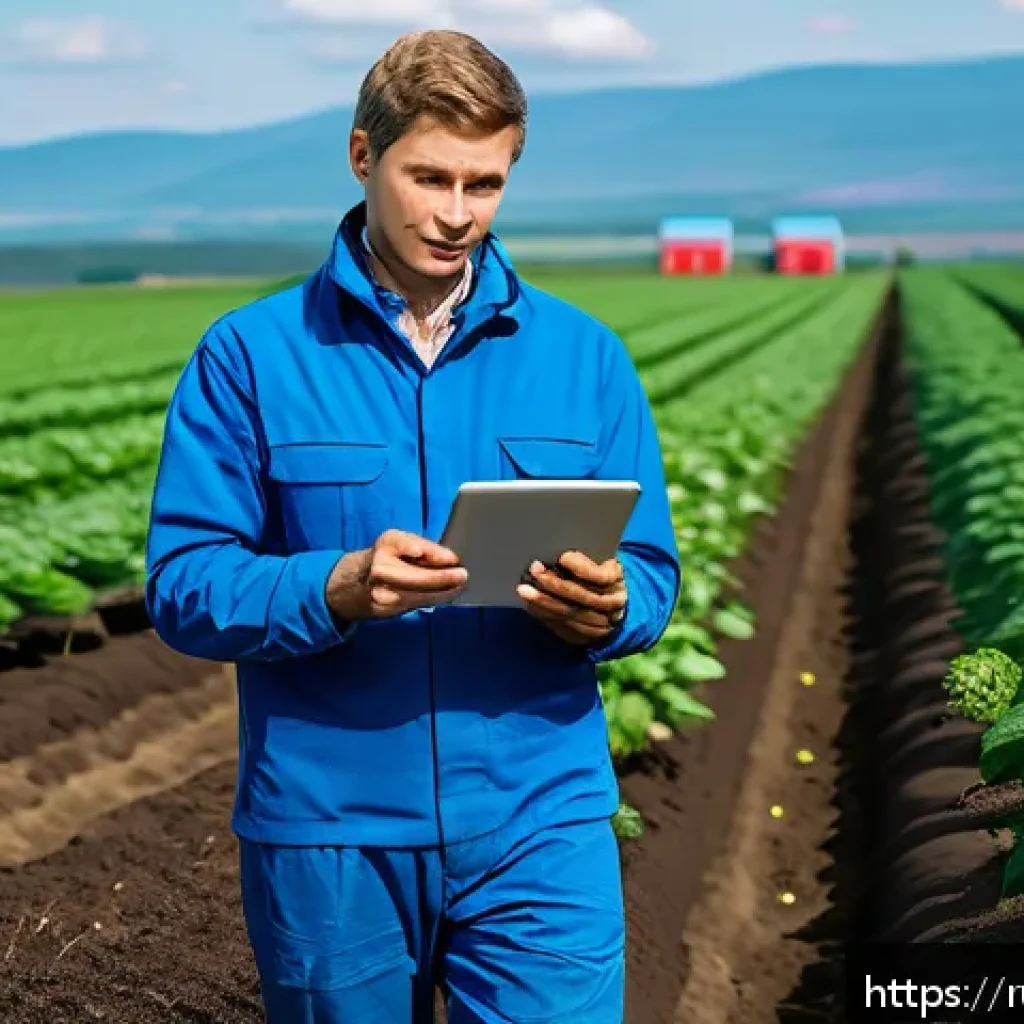 농업 경영 컨설팅 - A vibrant agricultural scene showcasing a modern Russian farm field with rows of ripe strawberries a...